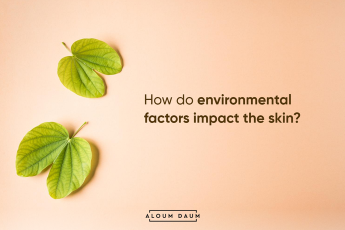 How do environmental factors impact the skin, and what protective measures should be taken in a skincare routine?